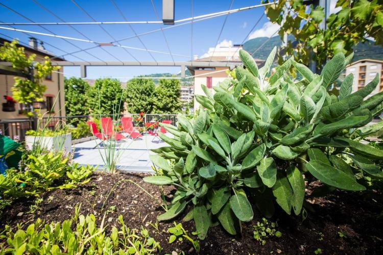 B&B Panemiele Sondrio Ngoại thất bức ảnh